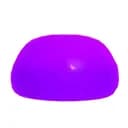 Purple Slime