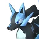 Rayhound Cryst