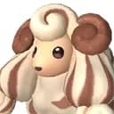 Woolipop Terra