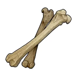 Bone