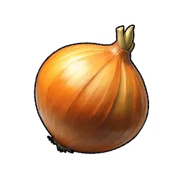 Onion