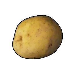 Potato