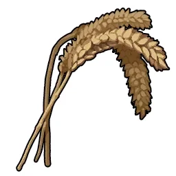 Wheat