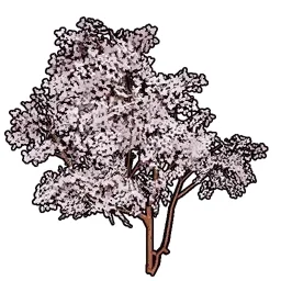 Faux Cherry Blossoms A