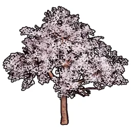Faux Cherry Blossoms B
