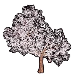 Faux Cherry Blossoms C
