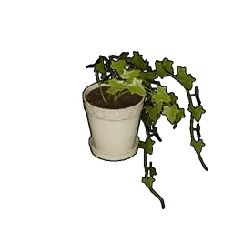 Potted Houseplant